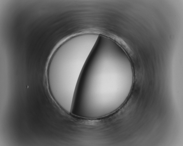 X0000099451184200805090721