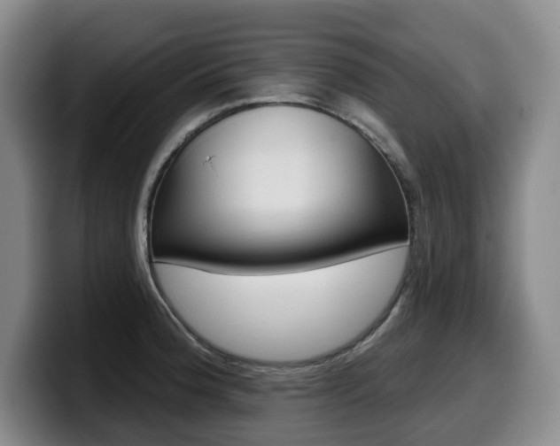 X0000099451188200805090721