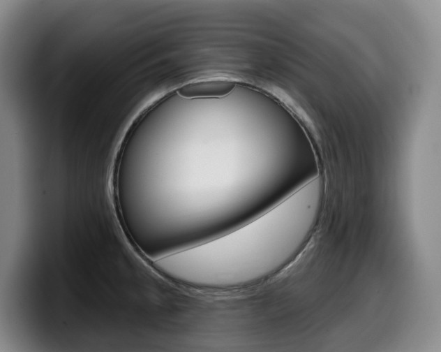 X0000099451189200805090721