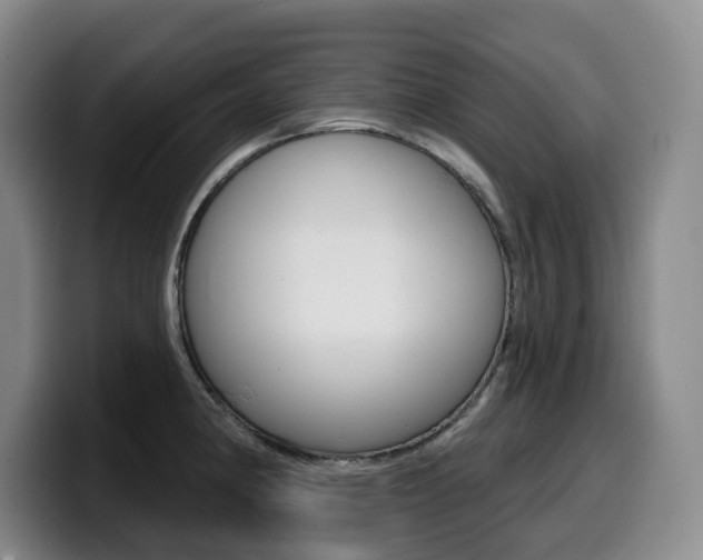 X0000099451190200805090721