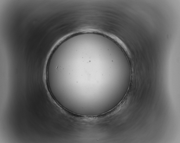 X0000099451191200805090721