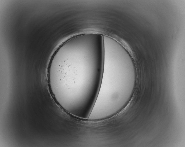 X0000099451192200805090721