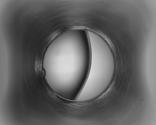 X0000099451193200805090721