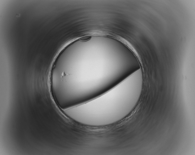 X0000099451195200805090721