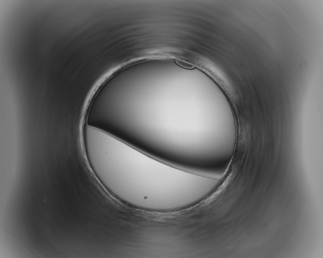 X0000099451196200805090721
