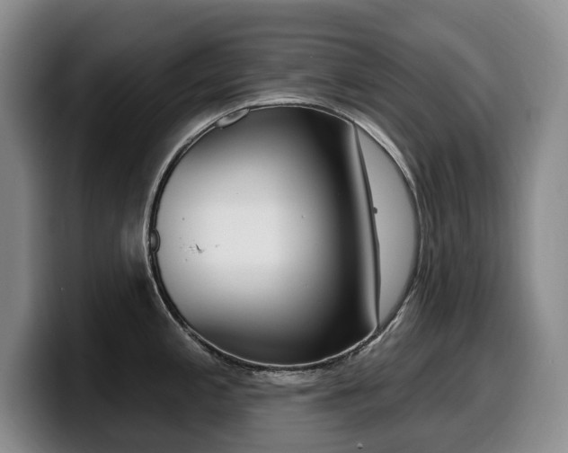 X0000099451197200805090721