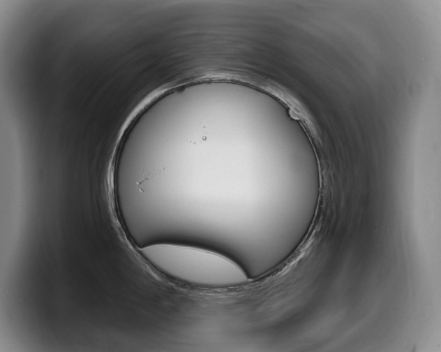 X0000099451198200805090721