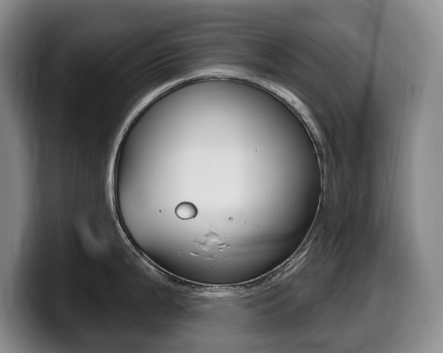 X0000099451199200805090721