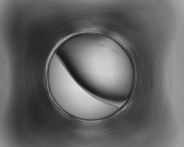 X0000099451200200805090721