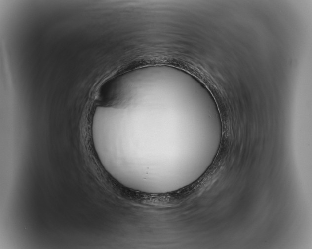X0000099451201200805090720