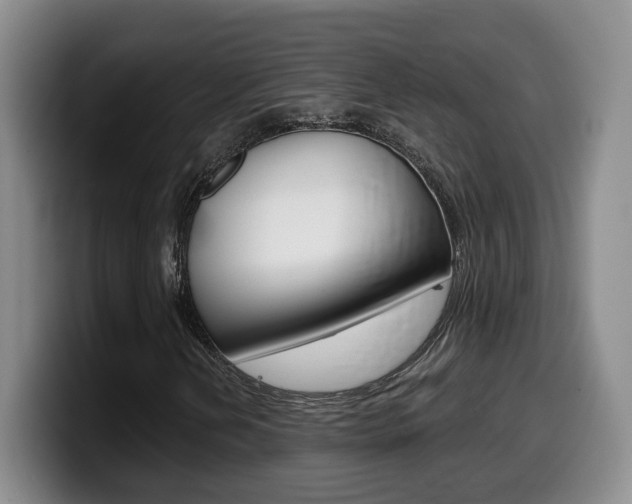 X0000099451202200805090720