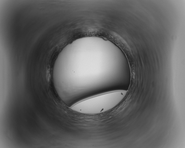 X0000099451204200805090720