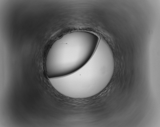 X0000099451205200805090720