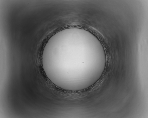 X0000099451207200805090720