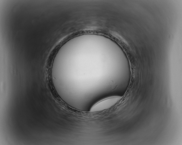 X0000099451208200805090720