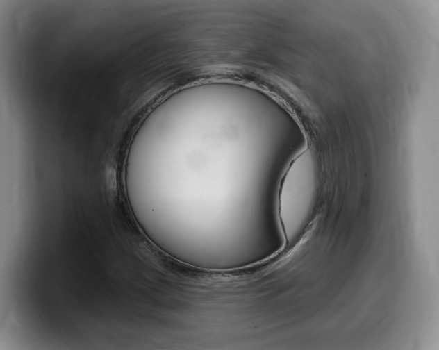 X0000099451209200805090721