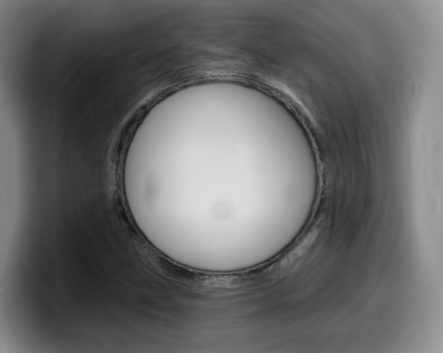 X0000099451211200805090721
