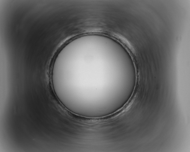 X0000099451212200805090721