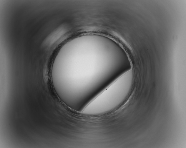 X0000099451213200805090721