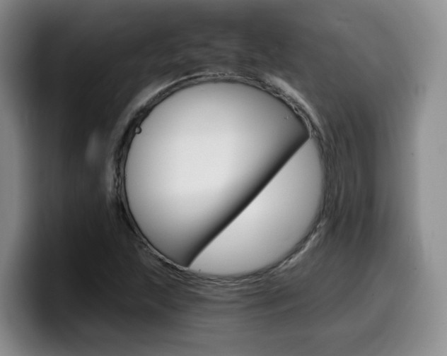 X0000099451215200805090721