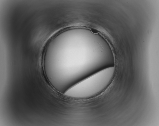 X0000099451216200805090721