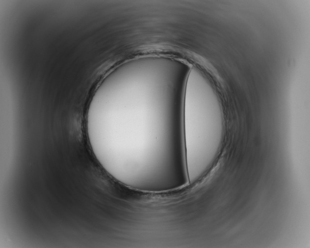 X0000099451217200805090721