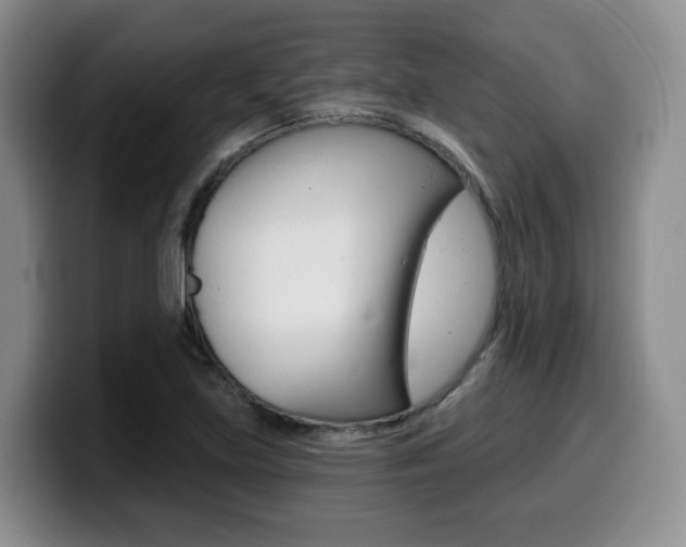 X0000099451219200805090721