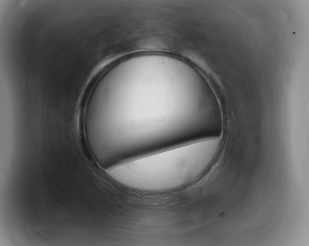 X0000099451222200805090721