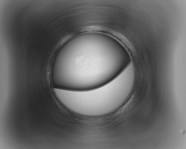 X0000099451225200805090721