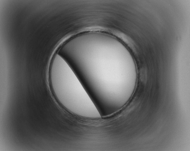 X0000099451229200805090721