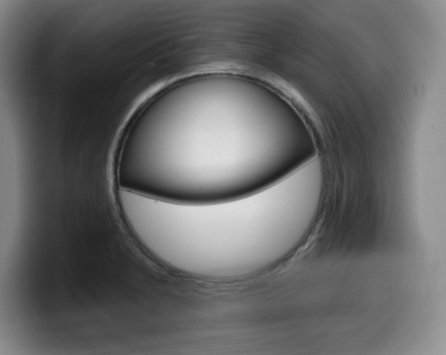 X0000099451230200805090721