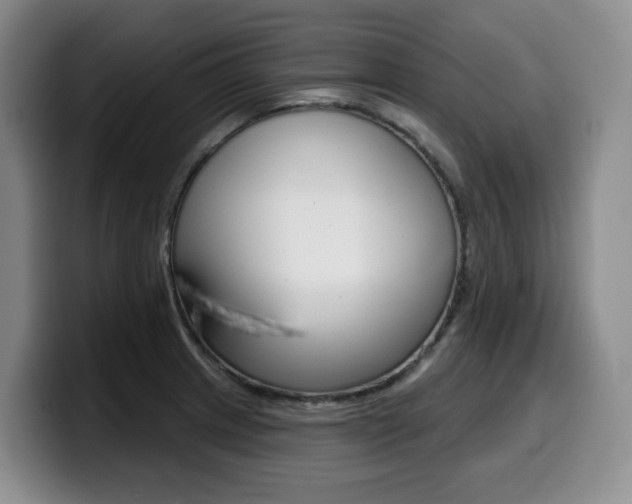 X0000099451233200805090721