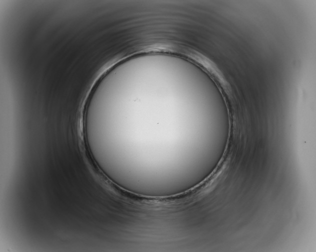 X0000099451234200805090721