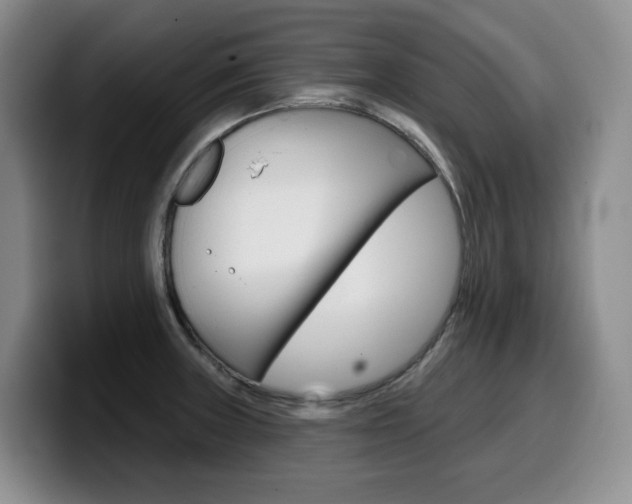 X0000099451235200805090721