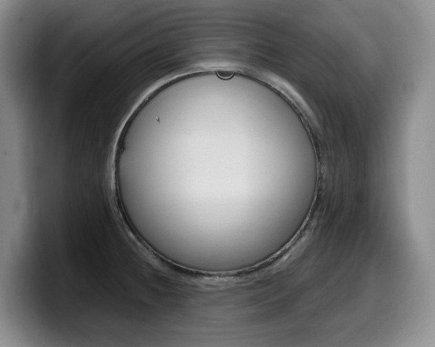 X0000099451236200805090721