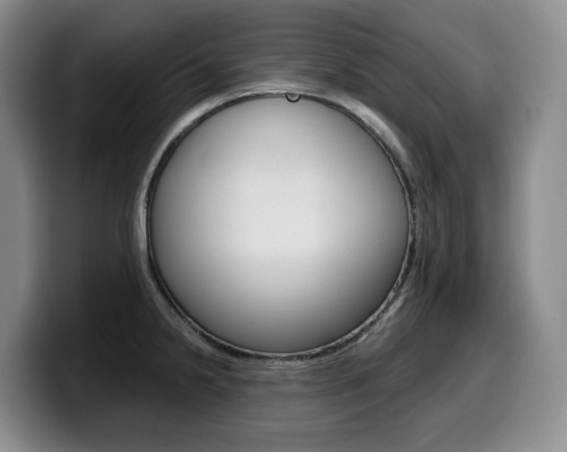 X0000099451238200805090721