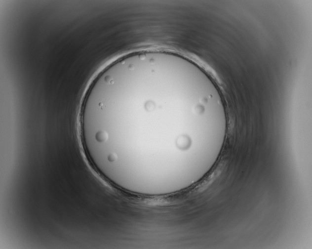 X0000099451239200805090721