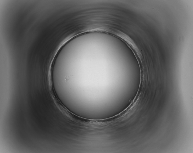 X0000099451242200805090721