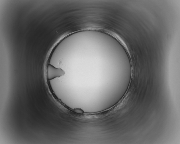 X0000099451243200805090721