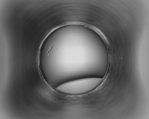 X0000099451244200805090721