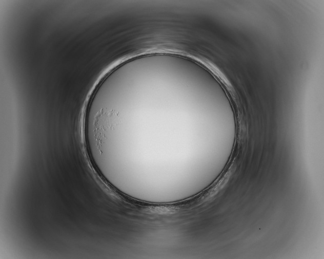 X0000099451246200805090721