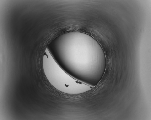 X0000099451250200805090720