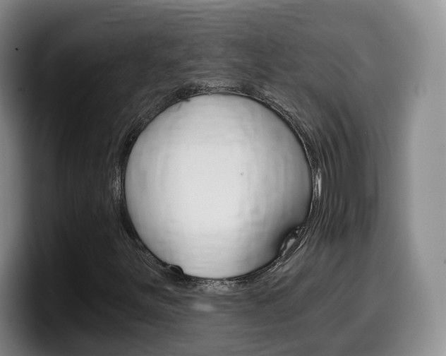 X0000099451251200805090720