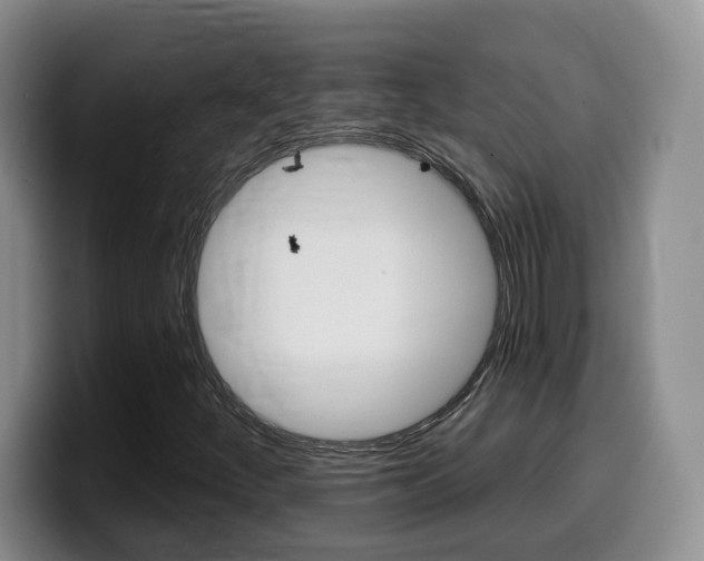 X0000099451252200805090720