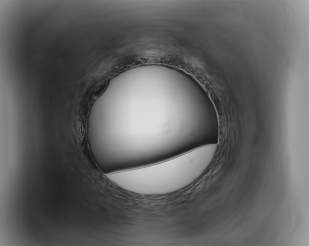 X0000099451253200805090720