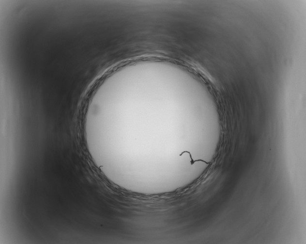 X0000099451256200805090720