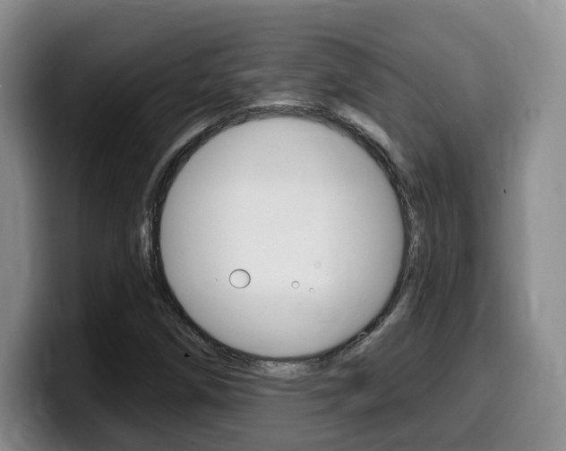 X0000099451258200805090720