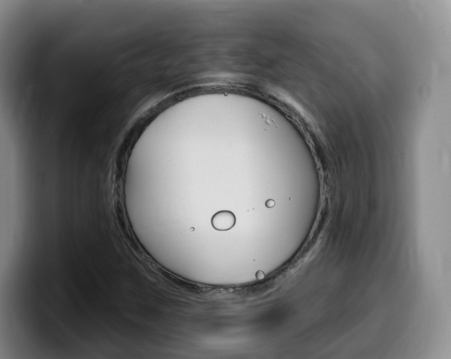 X0000099451259200805090720