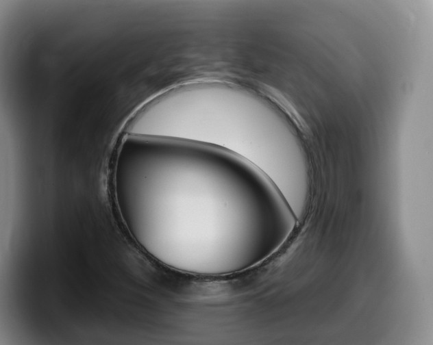 X0000099451260200805090720
