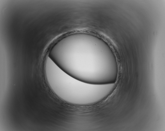 X0000099451262200805090720